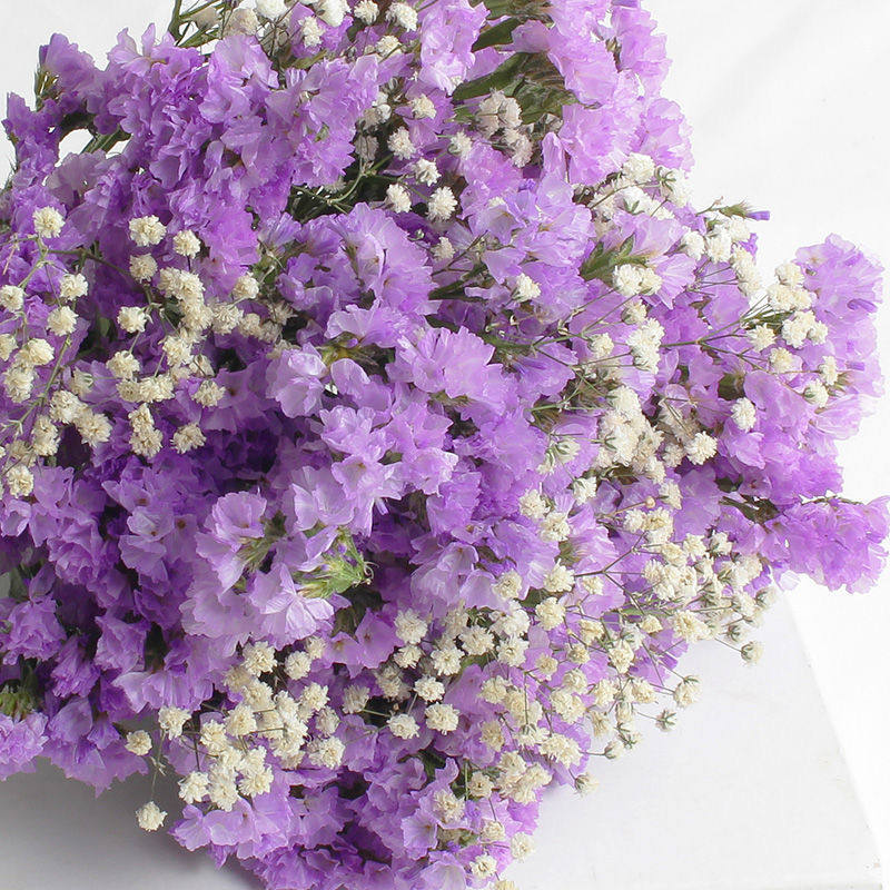 仿真勿忘我满天星花束鲜花真花家庭家居装饰仿真花