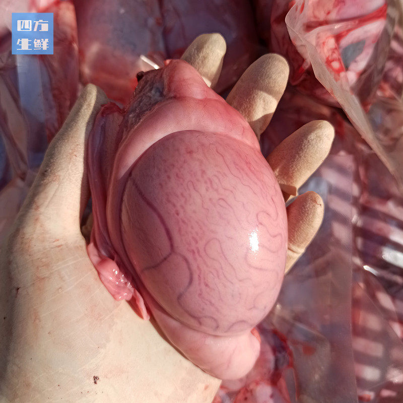 新鲜腰子羊宝羊蛋冷冻羊白生羊肉羊睾丸烧烤生羊肉