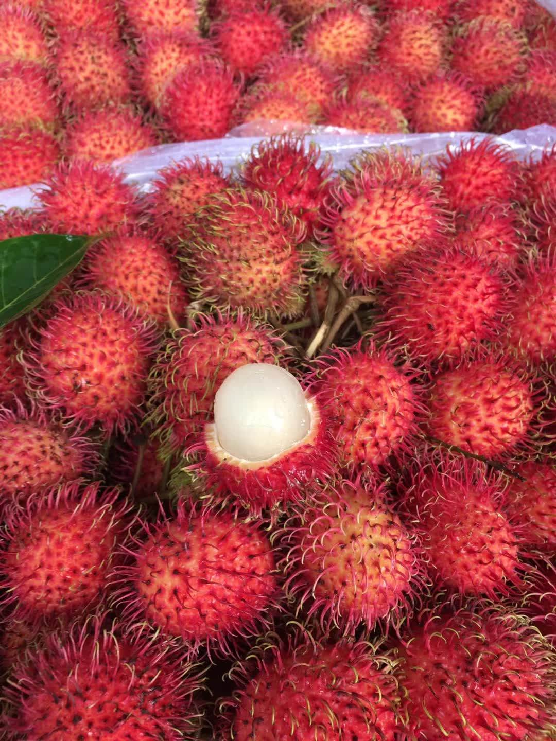 荔枝顺丰毛丹果热带水果应季新鲜包邮毛荔枝4斤红毛毛丹