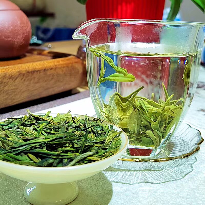 陇南茶叶龙井2022新茶叶雨前康县阳坝龙井茶(非西湖)