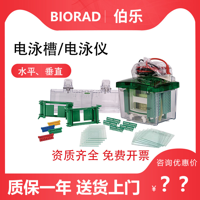 电泳美国biorad伯乐水平垂直转印实验蛋白电源其它仪表仪器