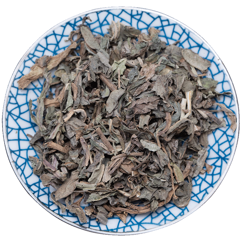 败酱草中草药500g克包邮败酱草新鲜非野生苏败酱遏蓝菜败酱草中药