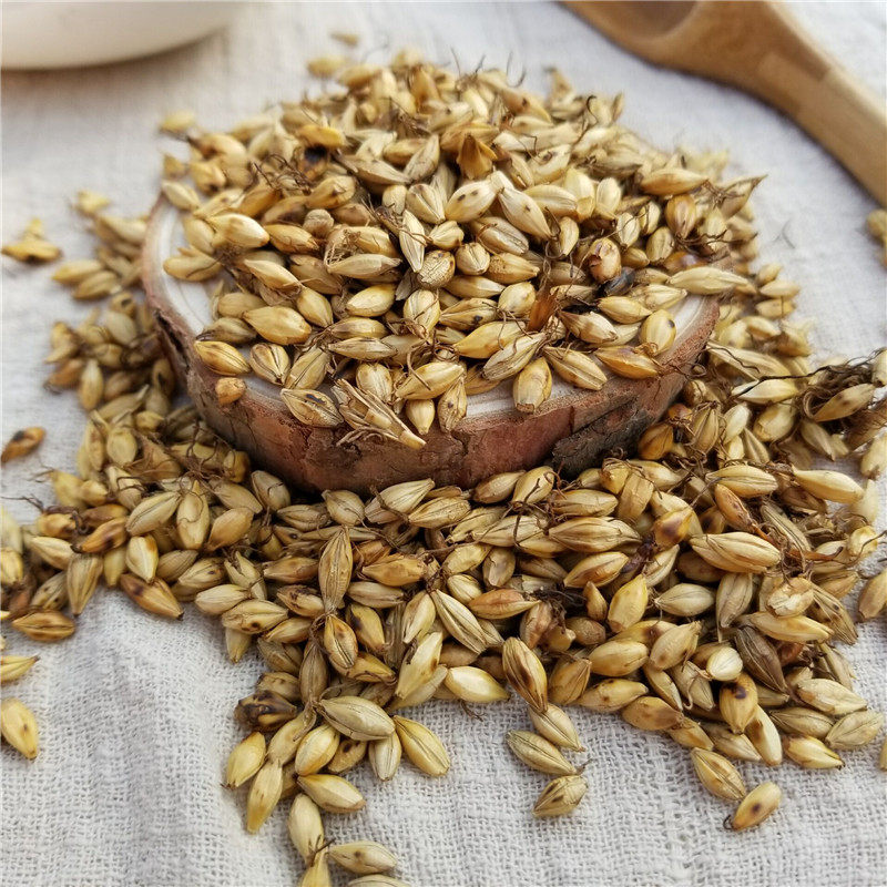 麦芽中药材回奶中草药500g大麦断奶另售山楂茶炒其他药食同源食品