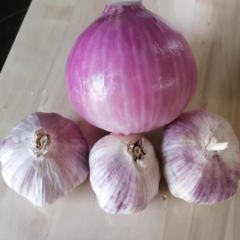 洋葱大蒜5斤组合山东当季新鲜蔬菜农家助农大蒜