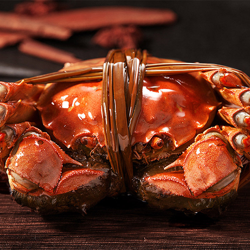 大闸蟹公母特大8只苏州海鲜清水螃蟹水产鲜活大闸蟹