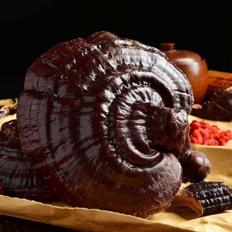 长白山灵芝野生干货切片正品泡酒煲汤500g散装整枝灵芝