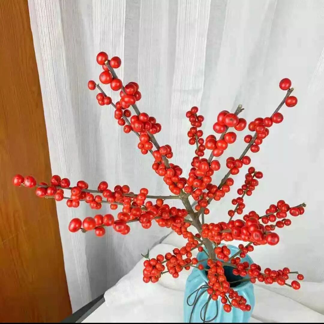 北美切枝干花植物水养鲜切冬青以水可以进口鲜花速递同城
