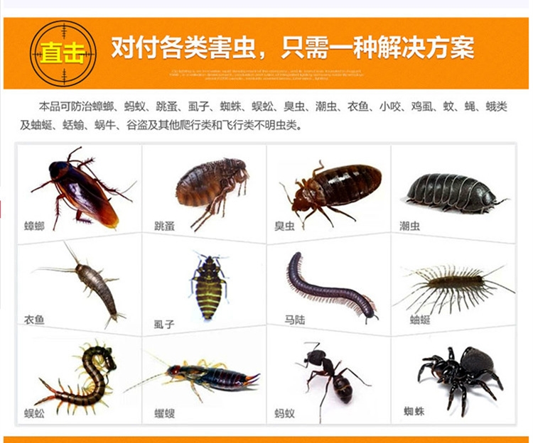 特效臭虫药灭绝粉专杀跳蚤粉克星除蟑螂灭潮虫蜈蚣等家用杀虫粉剂