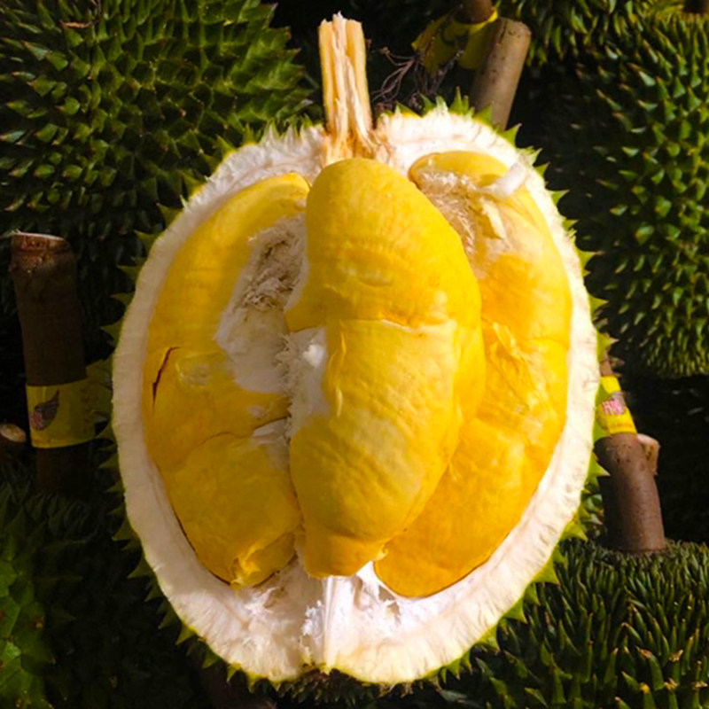 泰国带壳巴掌水果5斤整个长柄整果新鲜猫山王榴莲