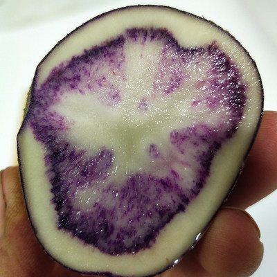 云南南大凉山现挖新鲜洋芋七彩彩心紫皮土豆土豆