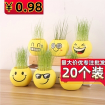 Indoor Mini Negative Ion Small Potted Green Plant With Seed Small Grass Tabletop Hydroponic Students Graduation Prize Gift