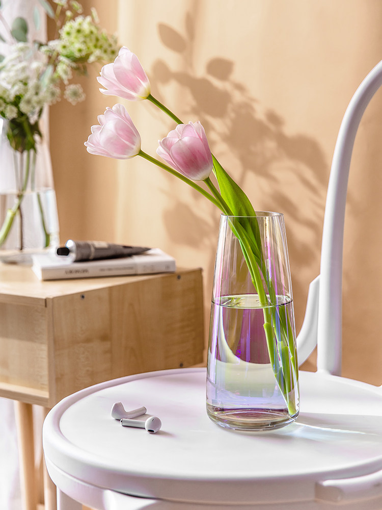 花瓶摆件鲜花玻璃瓶ins北欧风格网红小众透明花瓶