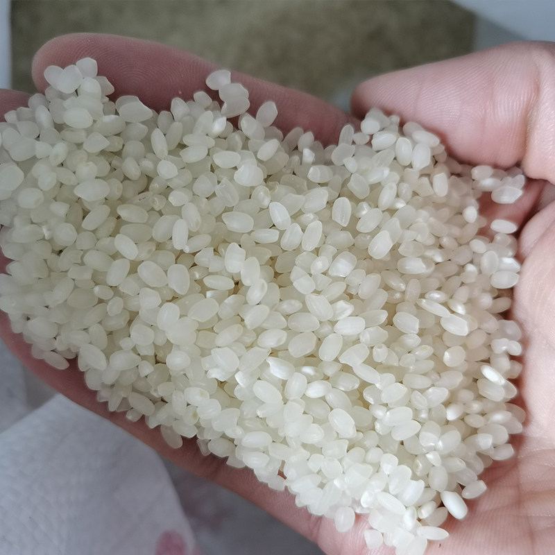 2019如皋长寿之乡农家自种大米新米煮粥煮饭大米