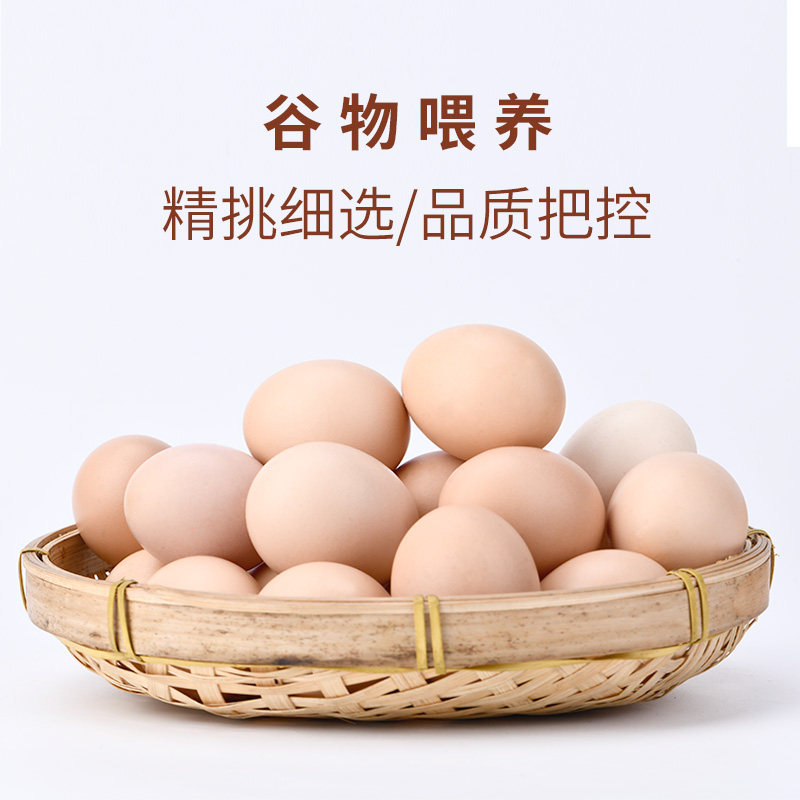 鸡蛋正大苏农新鲜营养40枚农村谷物喂养养生鸡蛋