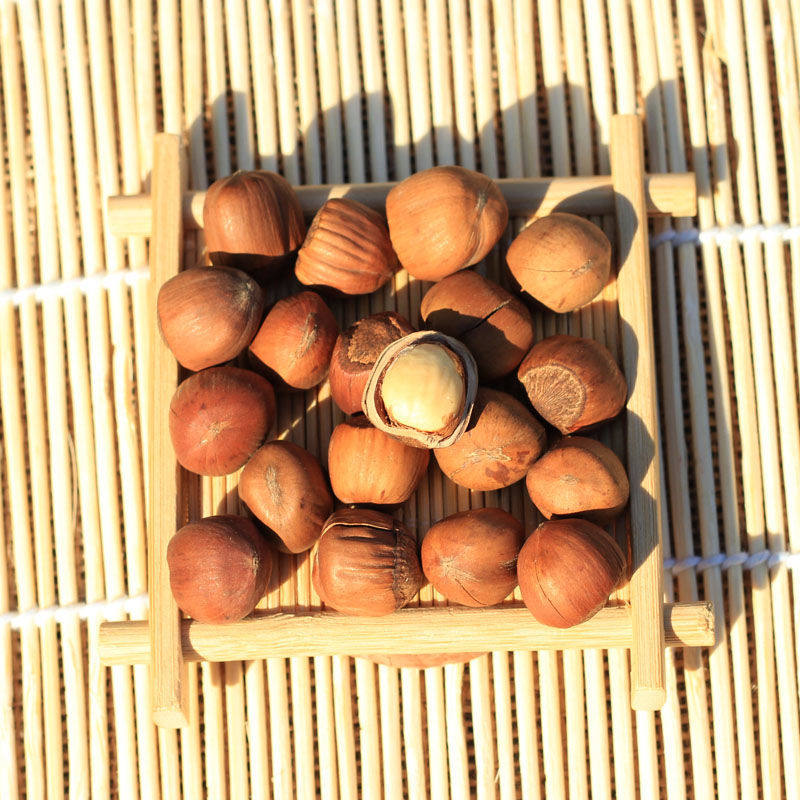 榛子日日顺木乃壳东北小榛铁岭野生纸皮平榛牛奶巧克力
