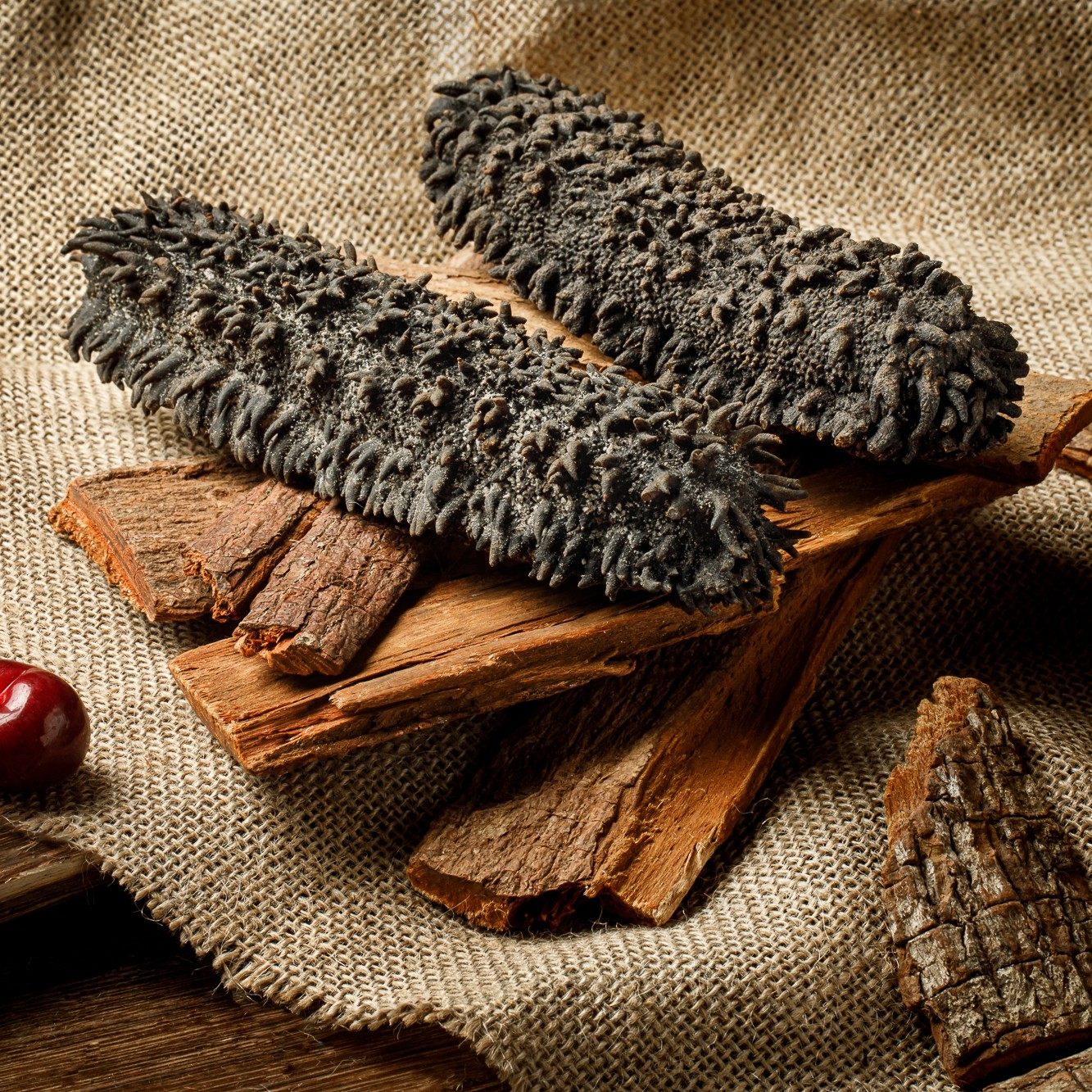 天然海参非洲进口干货即食梅花参刺淡干礼盒干品