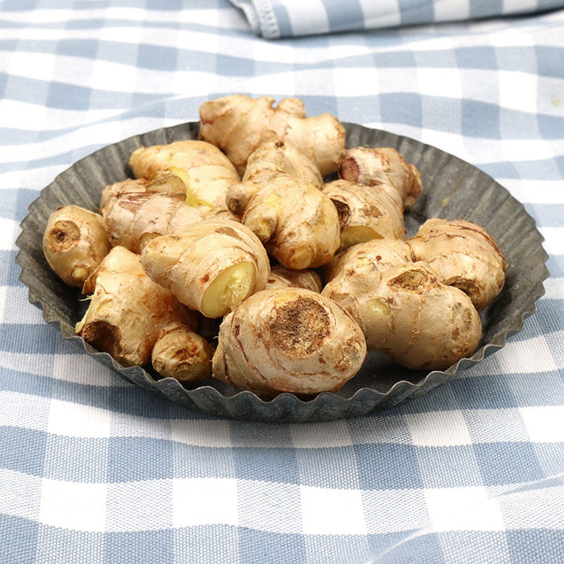 大姜生姜新鲜坏单碎姜块姜姜块泡脚5斤姜新鲜月子其它