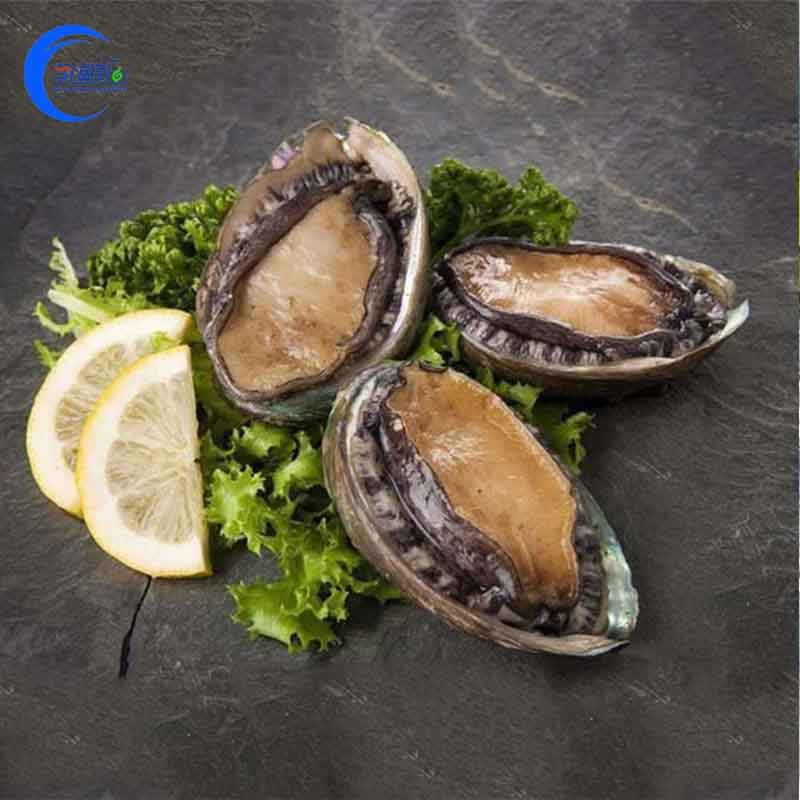 鲜活鲍鱼10头贝类海鲜水产4斤装鲍鱼