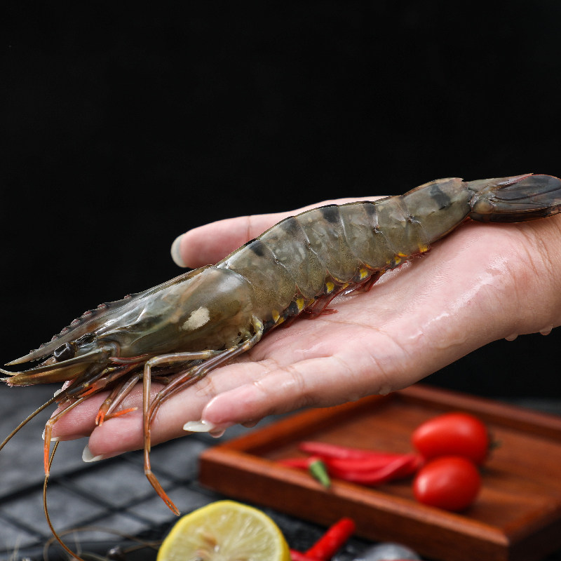 虎虾老虎九节斑节虾类海虾特大水产海鲜速冻活虾