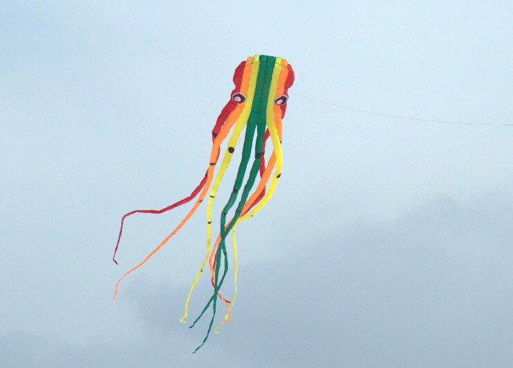 风筝15米23米30米软体鱿鱼章鱼风筝