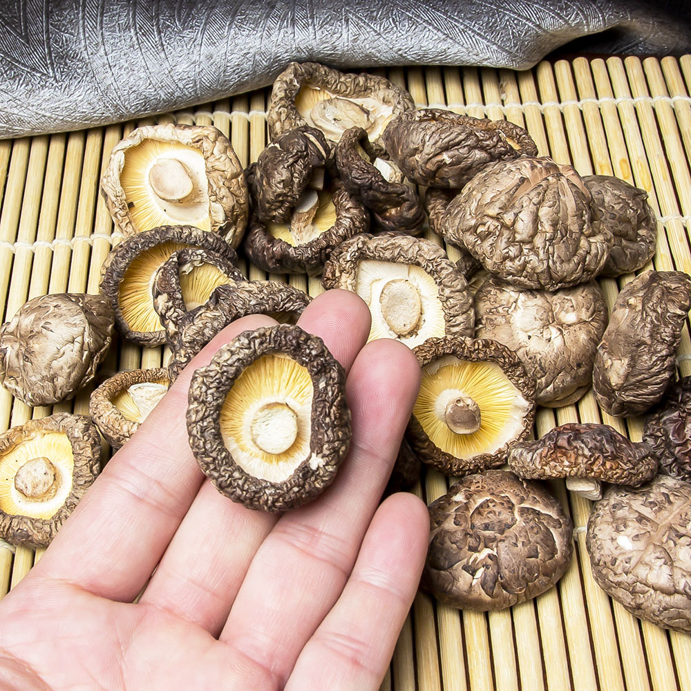 五谷俏香菇干货西峡特产小香菇剪根金钱蘑菇干椴木花冬菇新货包邮