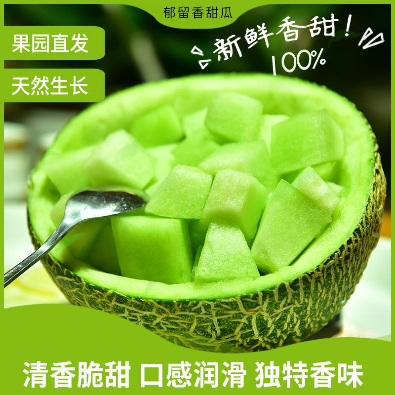 新疆瓜应包邮水果新鲜季新鲜网纹香瓜哈密瓜绿肉手机保护套