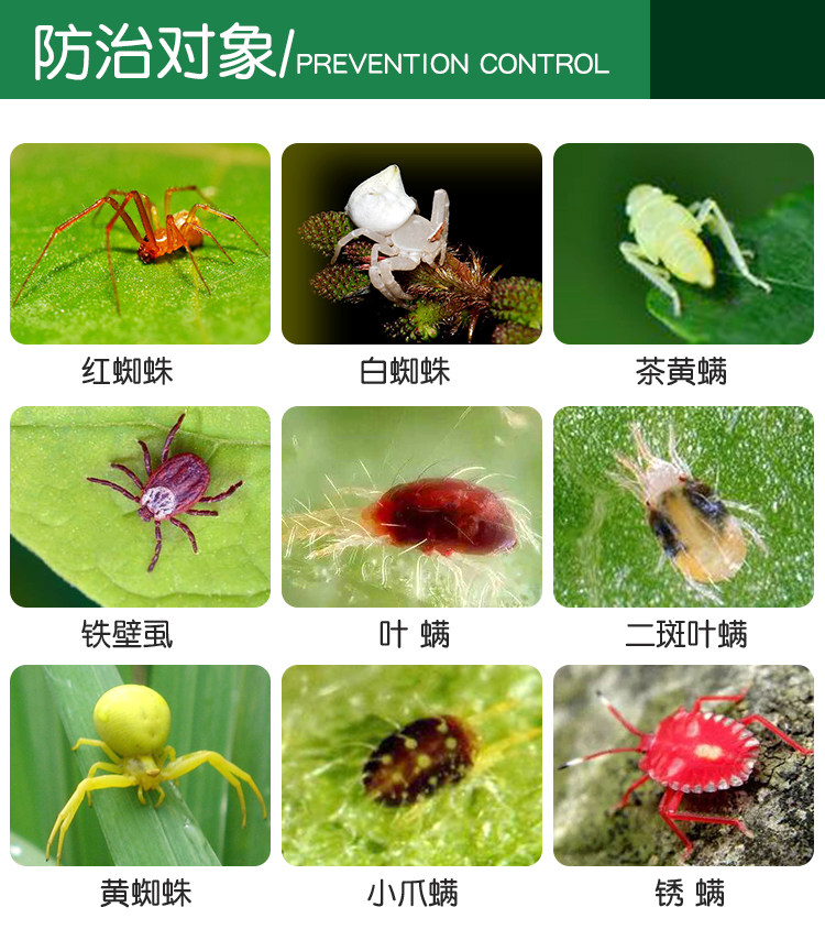 炔螨特 克螨特 果树柑橘橙子苹果红白蜘蛛专用农药茶黄螨虫杀虫剂