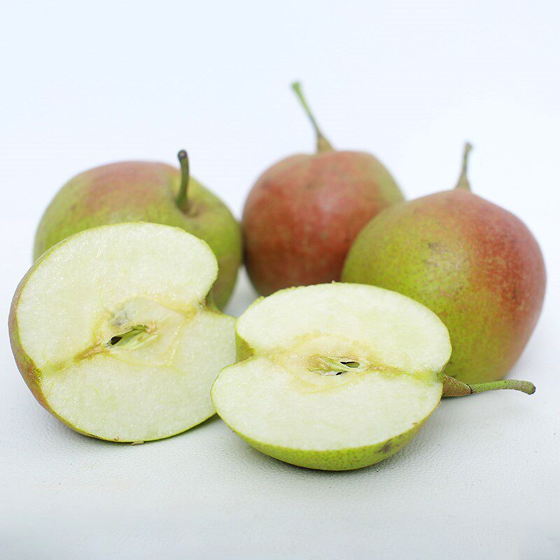 云南苍山冬红梨冬雪梨7斤新鲜梨子生津解渴手机保护套