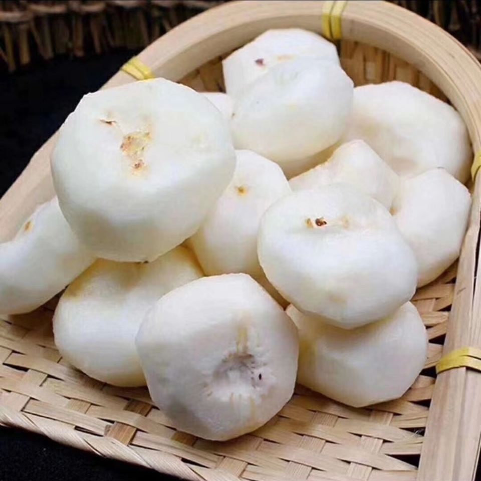 正宗乐昌北乡大号马蹄荸荠地栗乌芋新鲜水果手机保护套