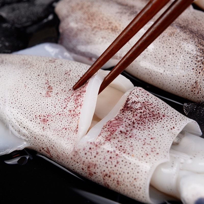 鱿鱼新鲜冷冻东海舟山冰鲜鲜活8条左右冷冻鱿鱼