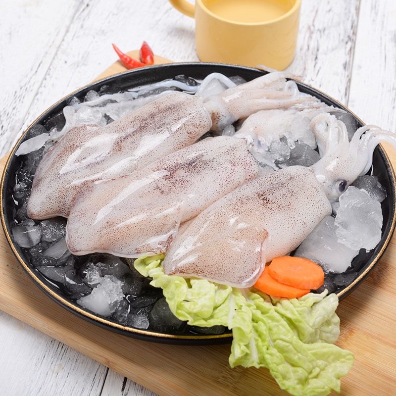 鱿鱼新鲜冷冻东海舟山冰鲜鲜活8条左右冷冻鱿鱼