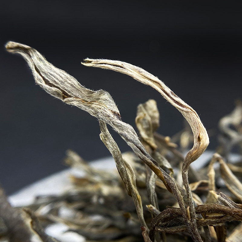 春茶上线茶王单株云南普洱茶普洱生1200年古树纯料普洱