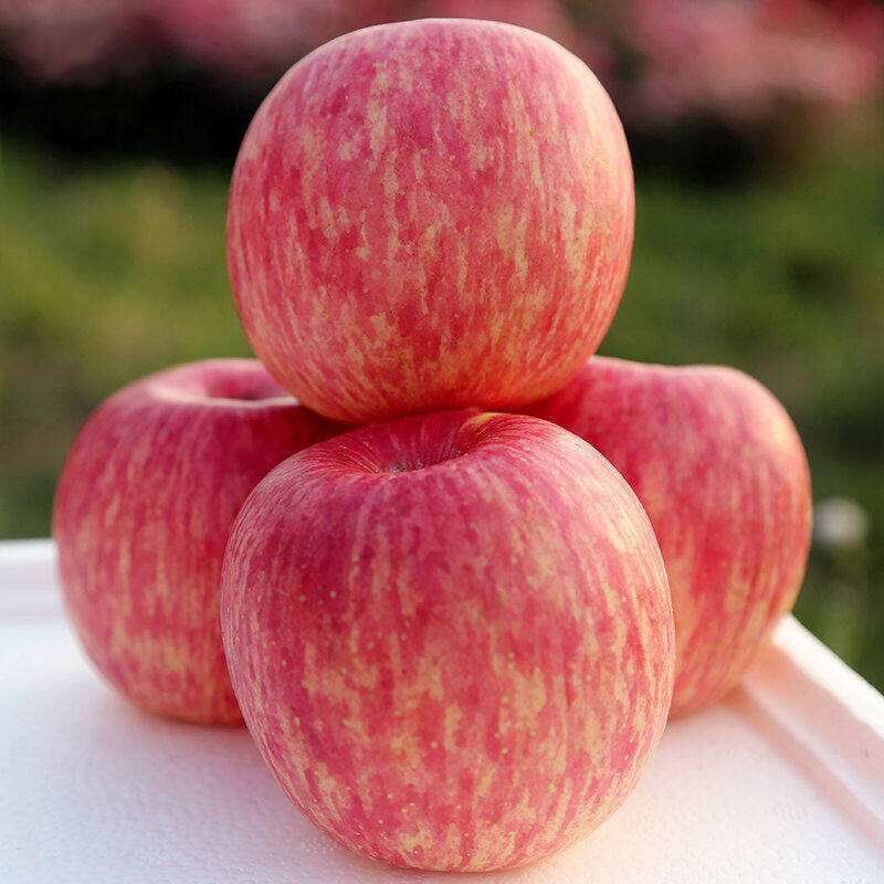 净重10斤洛川红富士条纹苹果水果整箱新鲜脆甜包手机保护套