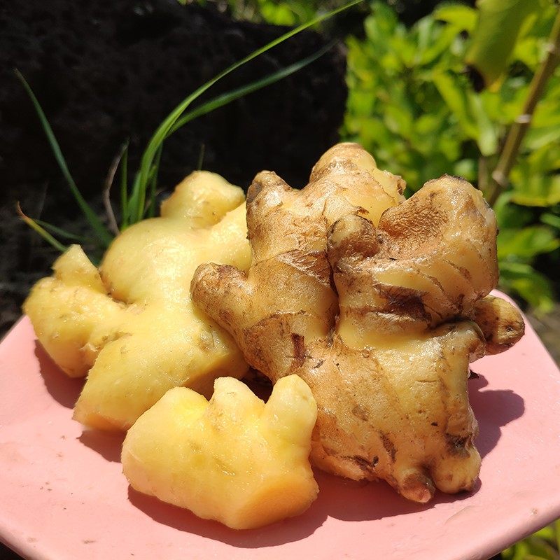 黄姜云南文山小黄10斤新鲜生姜挖沙姜小老姜生姜