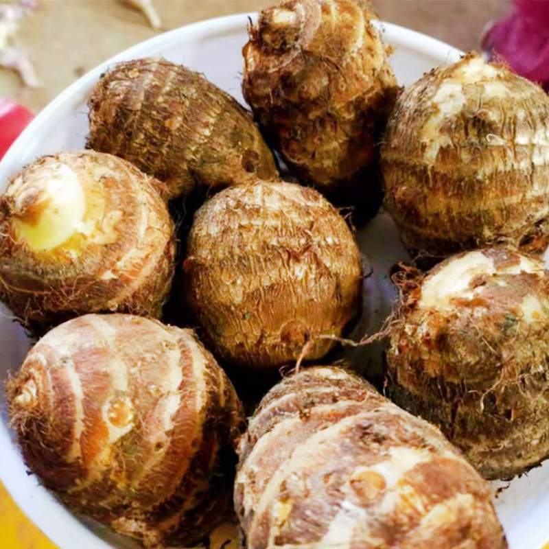 新鲜云南白芽芋头2-9斤小芋香甜软糯芋头