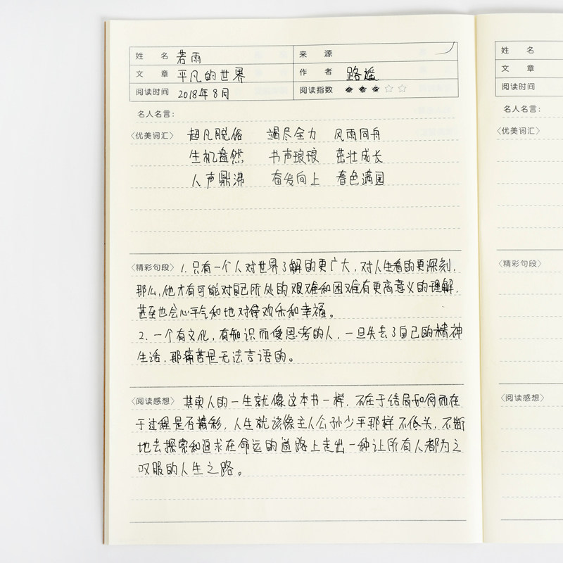 本子小学笔记读书好句好词读后感写读积累课业丙烯颜料
