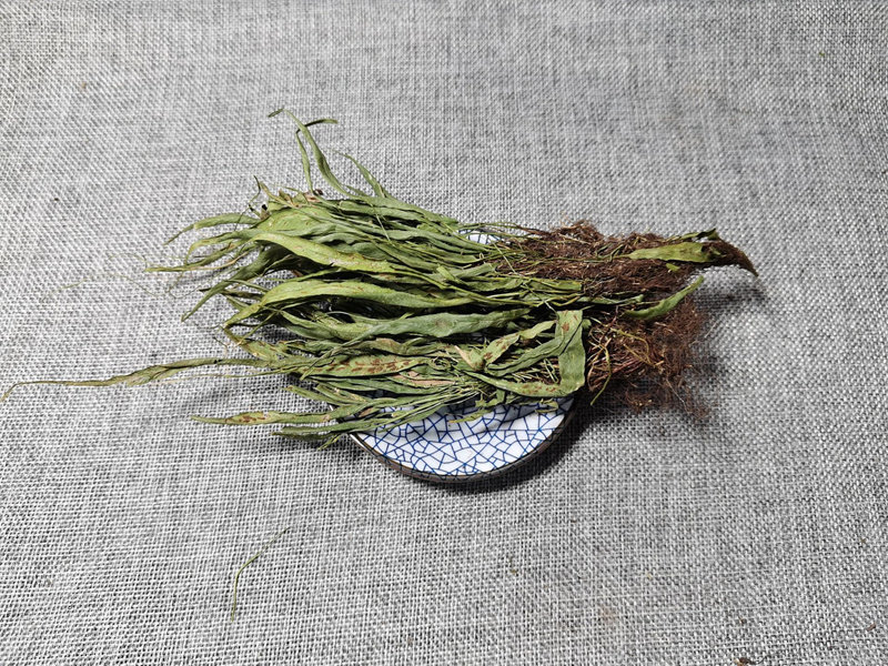 马蹬草100g过桥还阳小石韦马蹬草新鲜干货野生其他药食同源食品