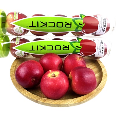 苹果礼盒装乐淇新西兰进口rockit6筒脆甜多汁农产品苹果 原价258元