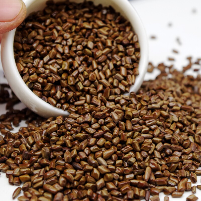 明子圣协50克中药材宁夏生草决明生决草决新货决明子