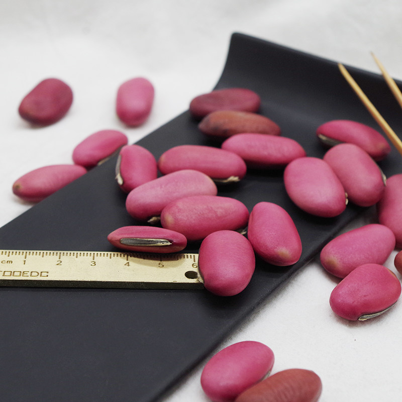 刀豆中药材豆子精选大红挟剑豆大弋豆刀鞘马刀其他药食同源食品