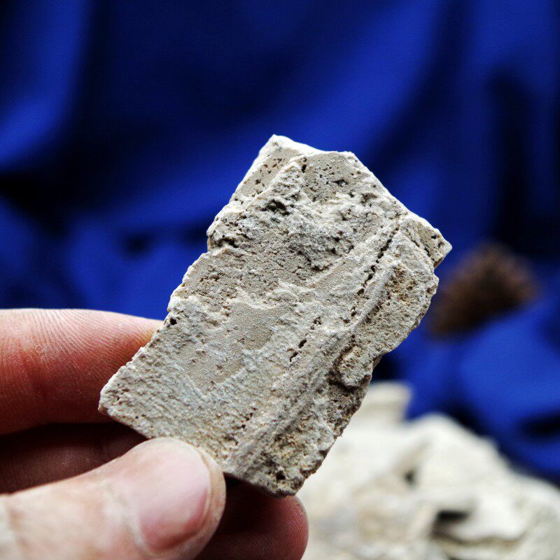 人中白 50克g 非煅人中白 白秋霜免费磨人中白粉 全店满28元包邮