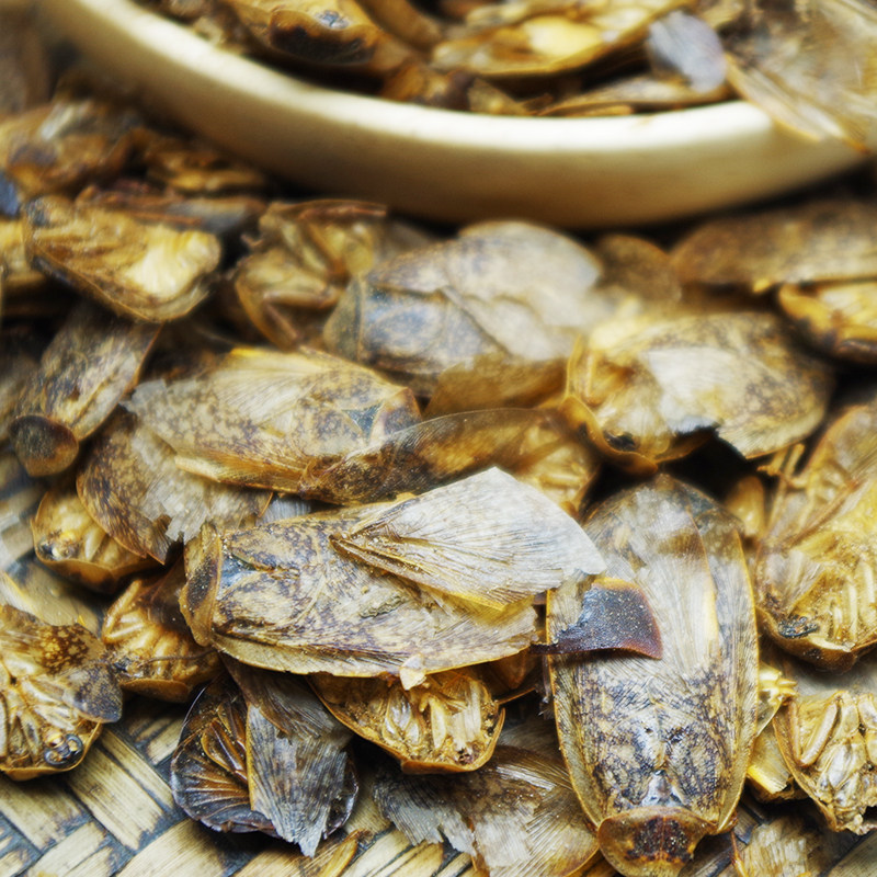 中药材蜇虫地鳖土鳖过街簸箕50克蛰虫另有土元其他药食同源食品