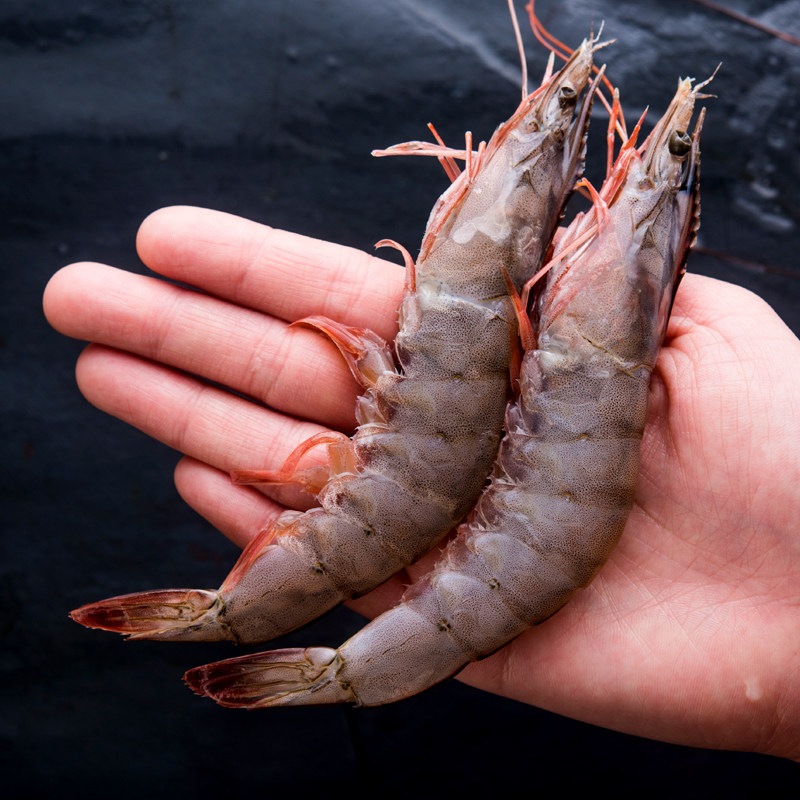 大虾鲜活海鲜特大超大新鲜基围虾海青虾白虾冻冻虾