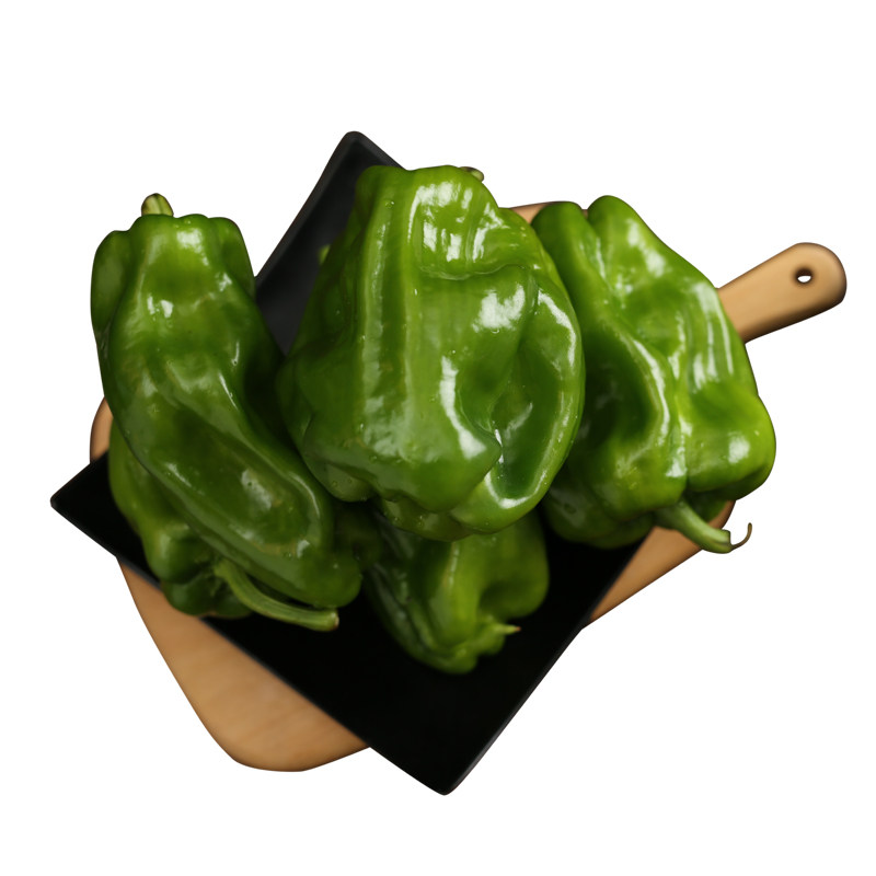 东北农家肥种植青椒 圆辣椒 薄皮皱皮柿子椒 新鲜蔬菜5斤顺丰包邮
