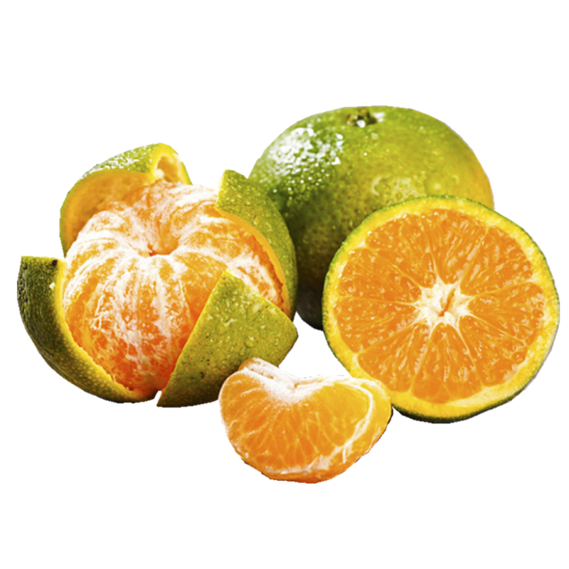 正宗清香蜜桔广西纯甜桔子茶香多汁清香桔砂糖橘5当季新鲜小桔子