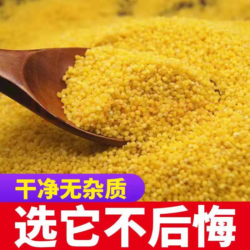 蔚县黄小米新米5斤香糯粘稠小黄米农家杂粮一级贡米石磨小米粥