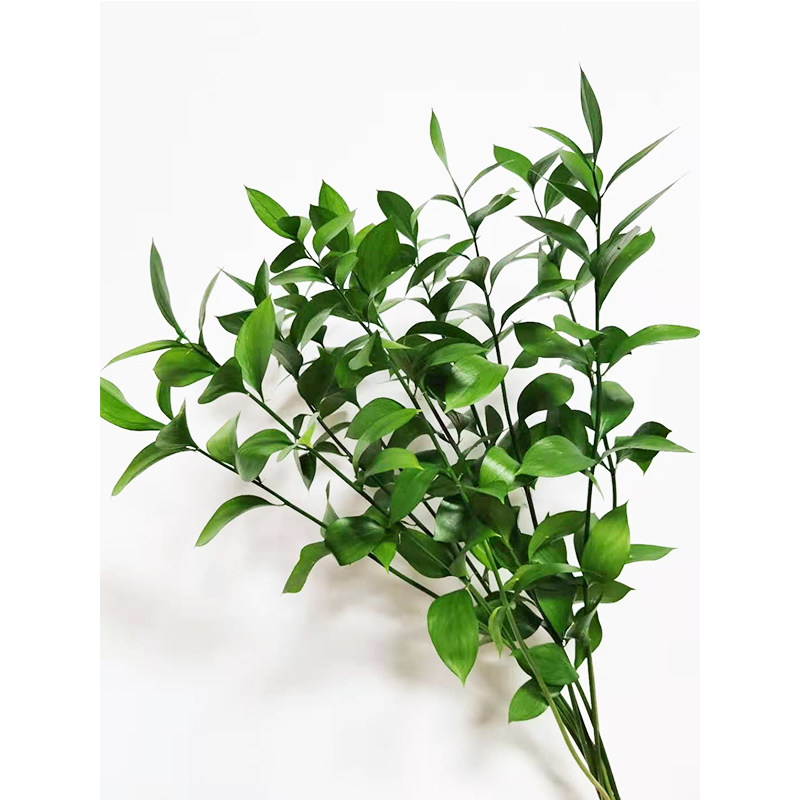 尤加利鲜花配叶百合玫瑰向日葵花束节日插花广州鲜花速递同城