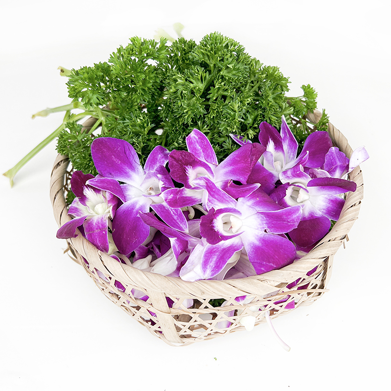 250g兰花新鲜摆盘西餐酒店花草组合荷兰杨兰花其它