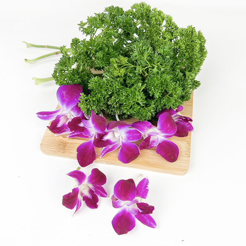 250g兰花新鲜摆盘西餐酒店花草组合荷兰杨兰花其它