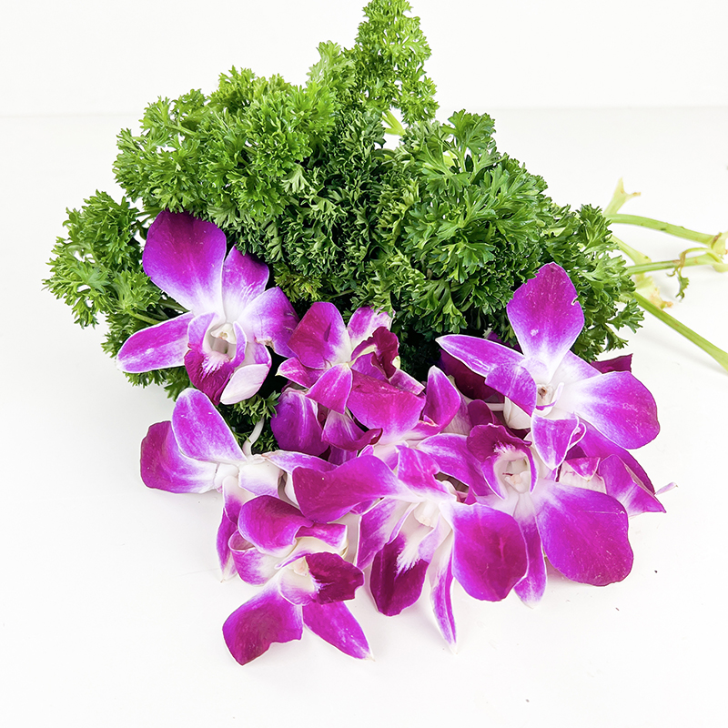 250g兰花新鲜摆盘西餐酒店花草组合荷兰杨兰花其它